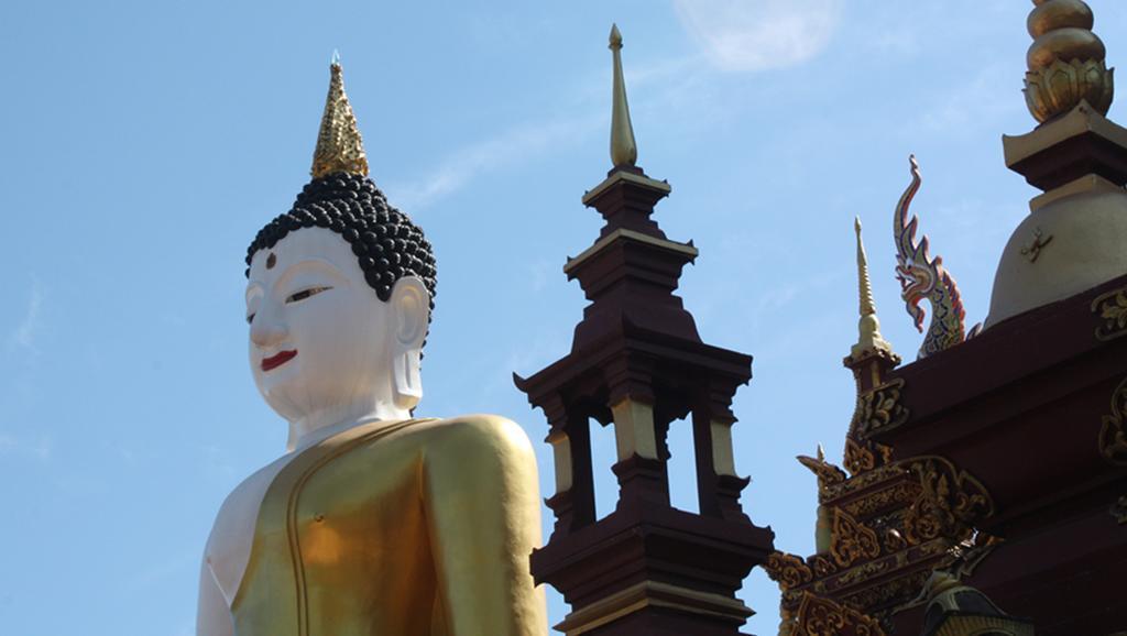 กรีนไทเกอร์ เฮาส์ Hotel เชียงใหม่ ภายนอก รูปภาพ